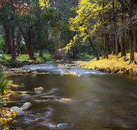 Goldfield Holiday Units - Tweed Heads Accommodation