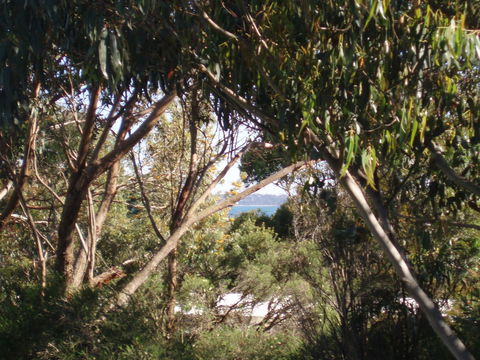 Aloha Ha Phillip Island - Tweed Heads Accommodation 24
