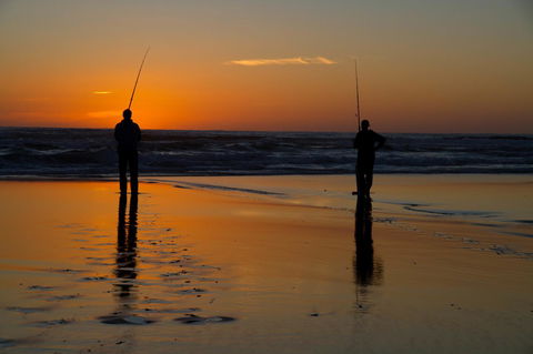 Arcadia Phillip Island - Tweed Heads Accommodation 23