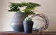 Boutique Heritage Studios On Ryrie Geelong CBD Opposite Hospital - thumb 15