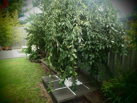 Azen Haven - Tweed Heads Accommodation 12