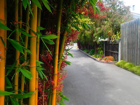Azen Haven - Tweed Heads Accommodation 14