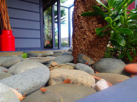 Azen Haven - Tweed Heads Accommodation 11