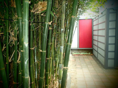 Azen Haven - Tweed Heads Accommodation 13