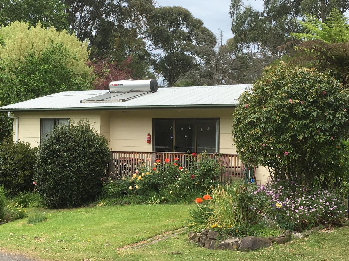 Allambee South VIC Tweed Heads Accommodation
