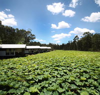 The Boathouses at Leaves  Fishes - Tweed Heads Accommodation