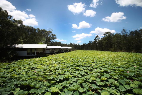 The Boathouses At Leaves & Fishes - Tweed Heads Accommodation 0