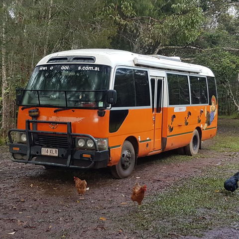 The Cabin - Tweed Heads Accommodation 3