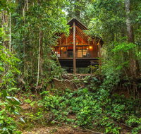 The Canopy Rainforest Treehouses  Wildlife Sanctuary - Tweed Heads Accommodation