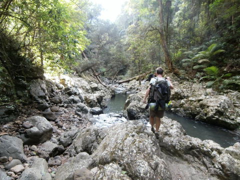 The Canungra Motel - Tweed Heads Accommodation 1