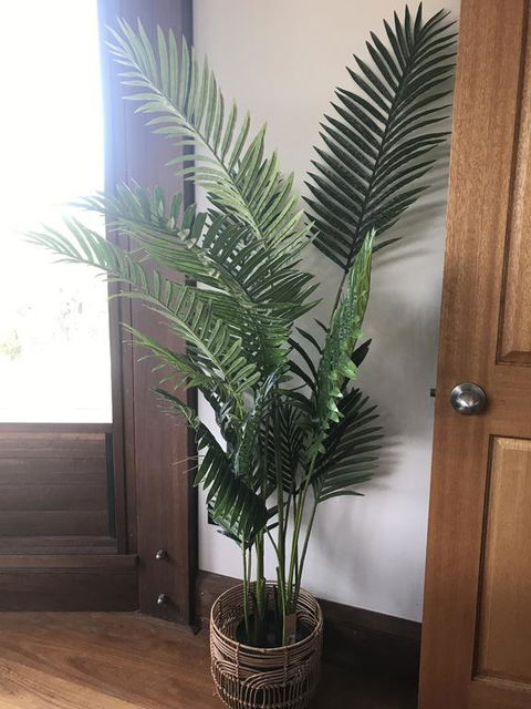 The Pool House - Tweed Heads Accommodation 3