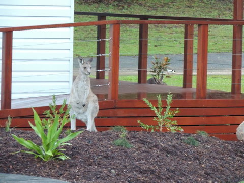The Pouch B & B - Tweed Heads Accommodation 1