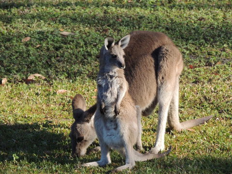The Pouch B & B - Tweed Heads Accommodation 2