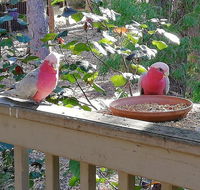 The Treehouse In Dawesville - Tweed Heads Accommodation