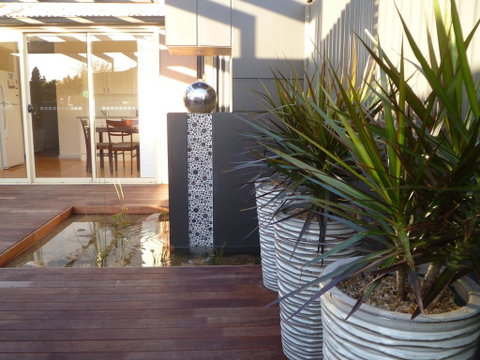 The Wet Lizard - Tweed Heads Accommodation 0