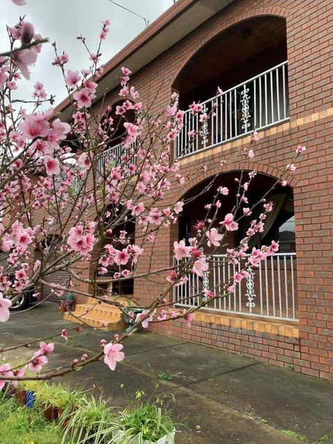 Thomastown Antique House Room 3 - Tweed Heads Accommodation 3