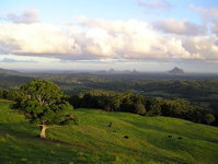 Book Maleny Accommodation Vacations Tweed Heads Accommodation Tweed Heads Accommodation