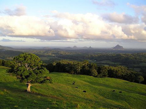 Tranquil Park - Tweed Heads Accommodation 0