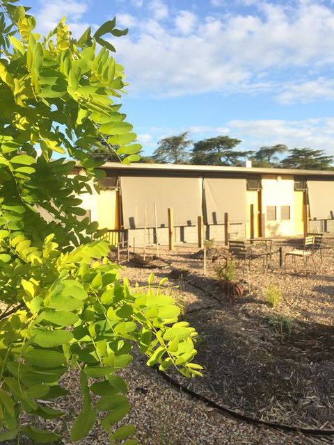 Tread Harcourt - Tweed Heads Accommodation 0