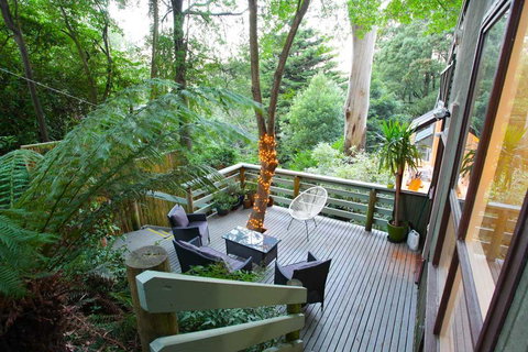 Tree Top Stay - Tweed Heads Accommodation 3