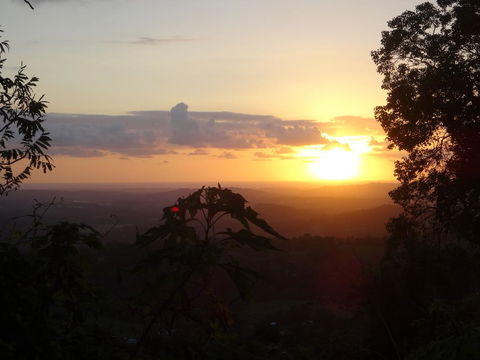 Treetops Montville - Tweed Heads Accommodation 3