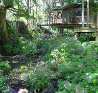 Treetops Montville - Tweed Heads Accommodation