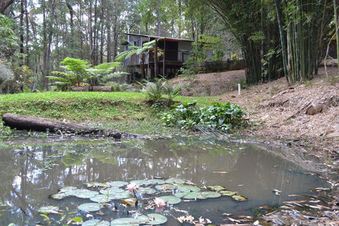 Turmeric Gardens - Tweed Heads Accommodation 3
