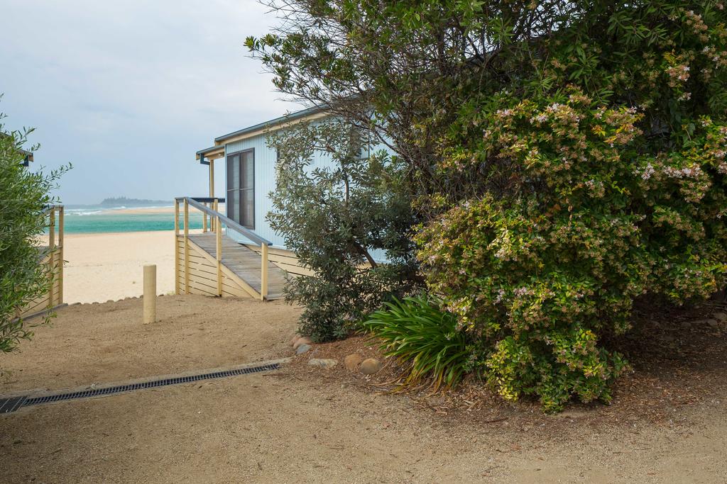 Congo NSW Tweed Heads Accommodation