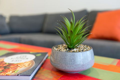 Urban Jungle! Executive Apartment In Heart Of CBD - Tweed Heads Accommodation 1
