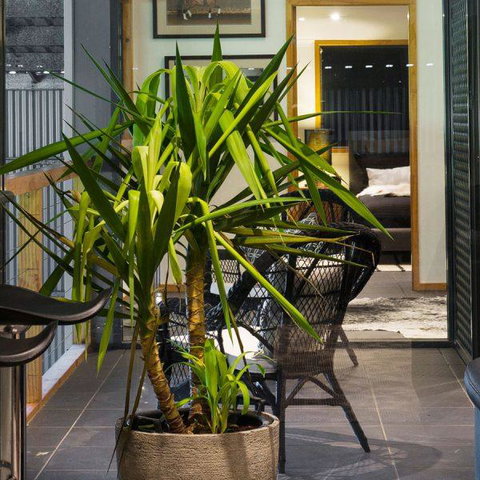 Val D'Argent Equestrian Centre - Tweed Heads Accommodation 2