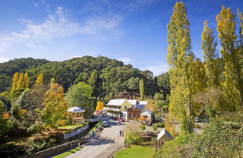 Walhalla's Star Hotel - Tweed Heads Accommodation 0