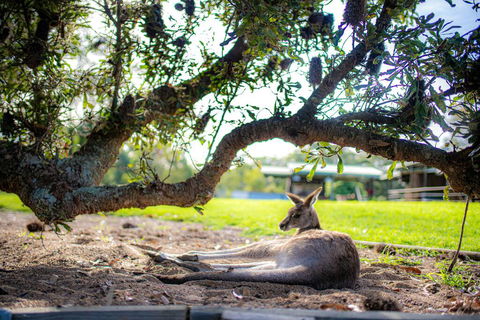 Waterfall Springs Retreat - Tweed Heads Accommodation 1
