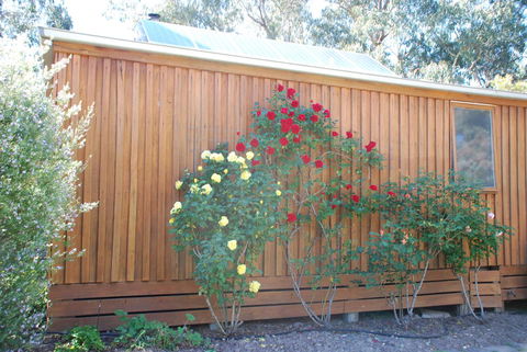 Bluegum Ridge Cottages - Tweed Heads Accommodation 23