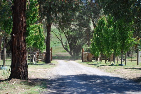 Bluegum Ridge Cottages - Tweed Heads Accommodation 3