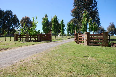 Bluegum Ridge Cottages - Tweed Heads Accommodation 2