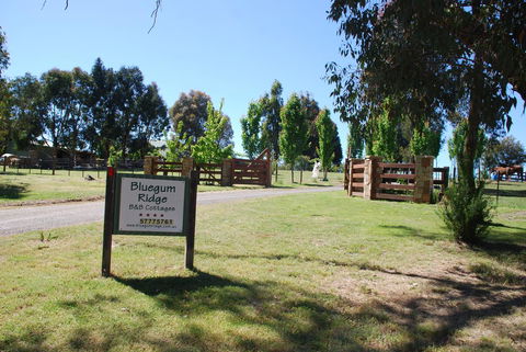 Bluegum Ridge Cottages - Tweed Heads Accommodation 1