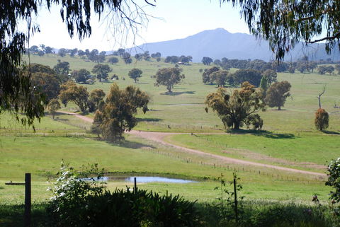 Bluegum Ridge Cottages - Tweed Heads Accommodation 31