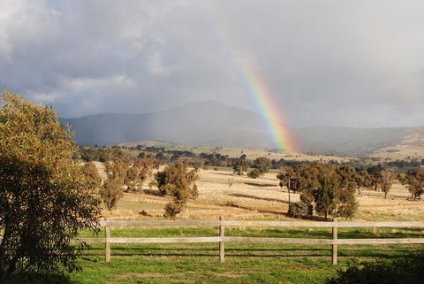 Bluegum Ridge Cottages - Tweed Heads Accommodation 32