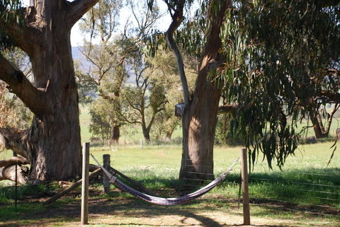 Bluegum Ridge Cottages - Tweed Heads Accommodation 28