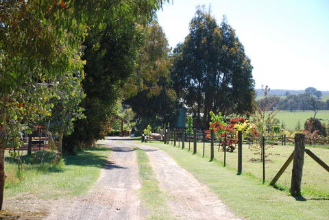 Bluegum Ridge Cottages - Tweed Heads Accommodation 4