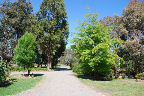 Bluegum Ridge Cottages - Tweed Heads Accommodation 5