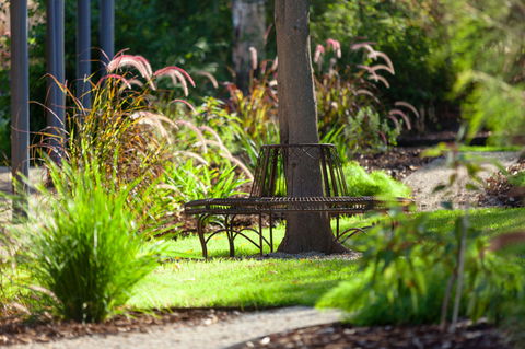 Blazing Stump Motel & Suites - Tweed Heads Accommodation 35