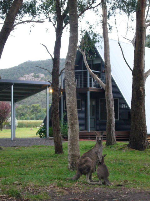 The A-Frame - Tweed Heads Accommodation 1