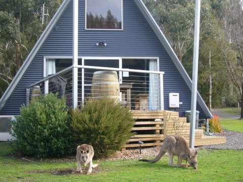 The A-Frame - Tweed Heads Accommodation 10