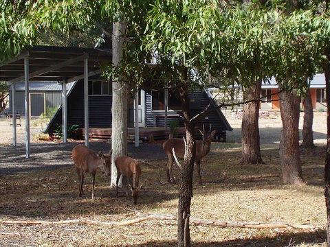 The A-Frame - Tweed Heads Accommodation 13