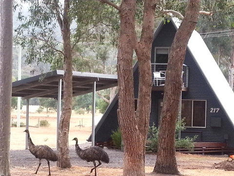 The A-Frame - Tweed Heads Accommodation 9