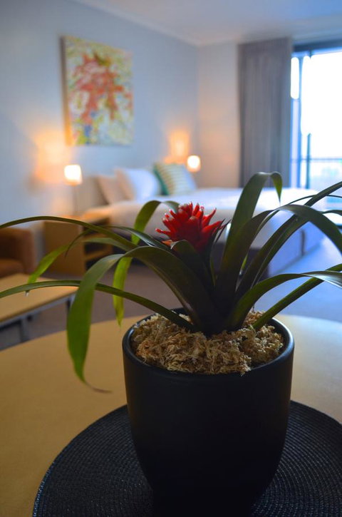 Mansfield Apartments - Tweed Heads Accommodation 21