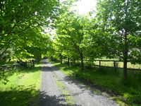Book Wonga Park Accommodation Vacations Tweed Heads Accommodation Tweed Heads Accommodation