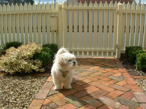 Sabina On Little Myers - Tweed Heads Accommodation 24