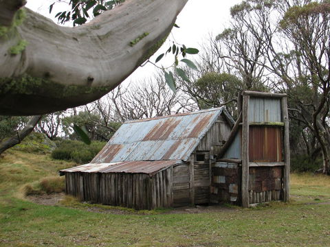 Allamar Motel - Tweed Heads Accommodation 44